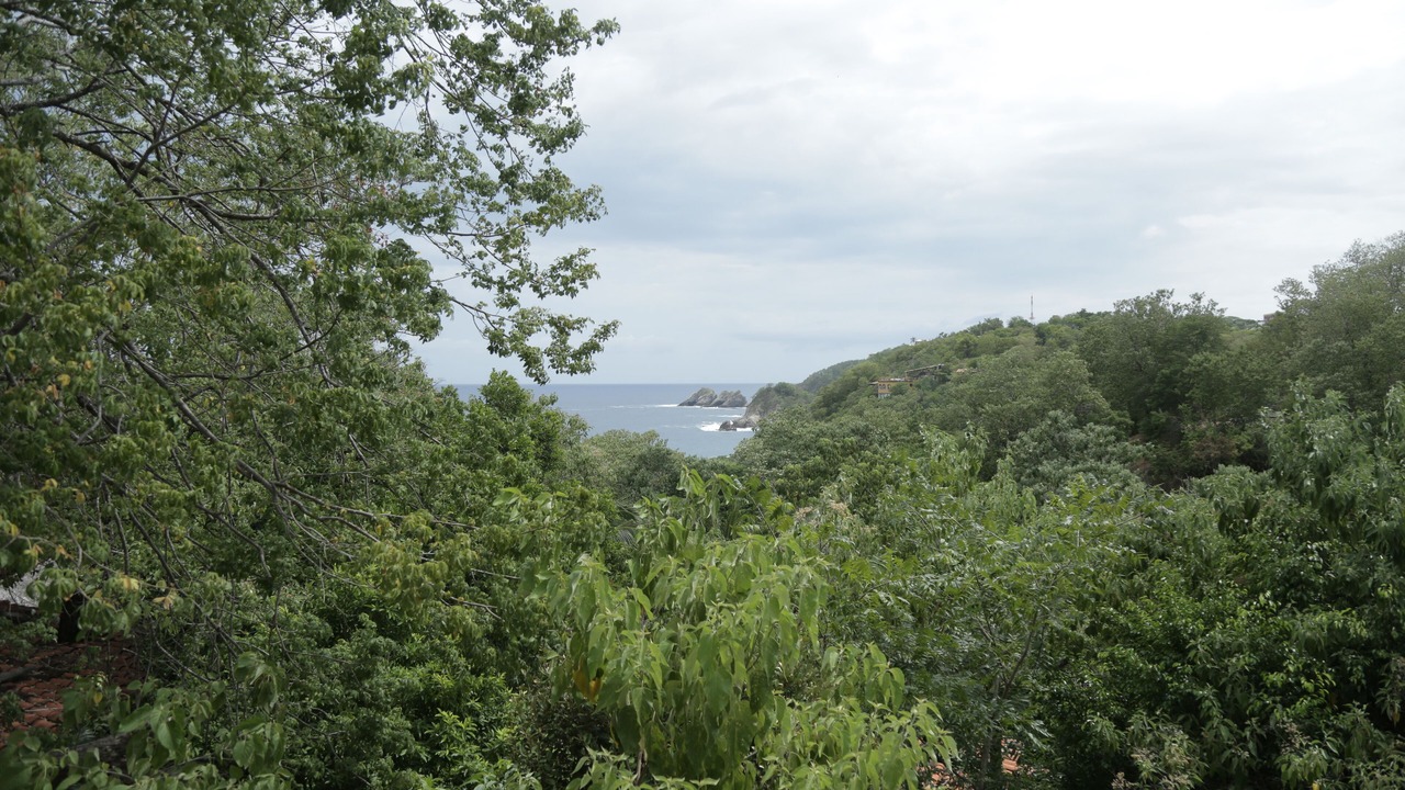 Photo of Others in Puerto Angel