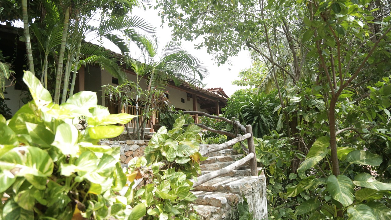 Photo of Others in Puerto Angel