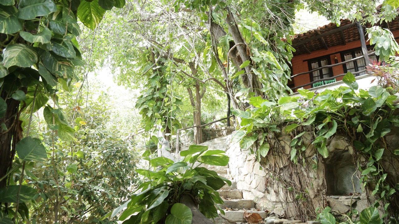 Photo of Outdoor in Puerto Angel