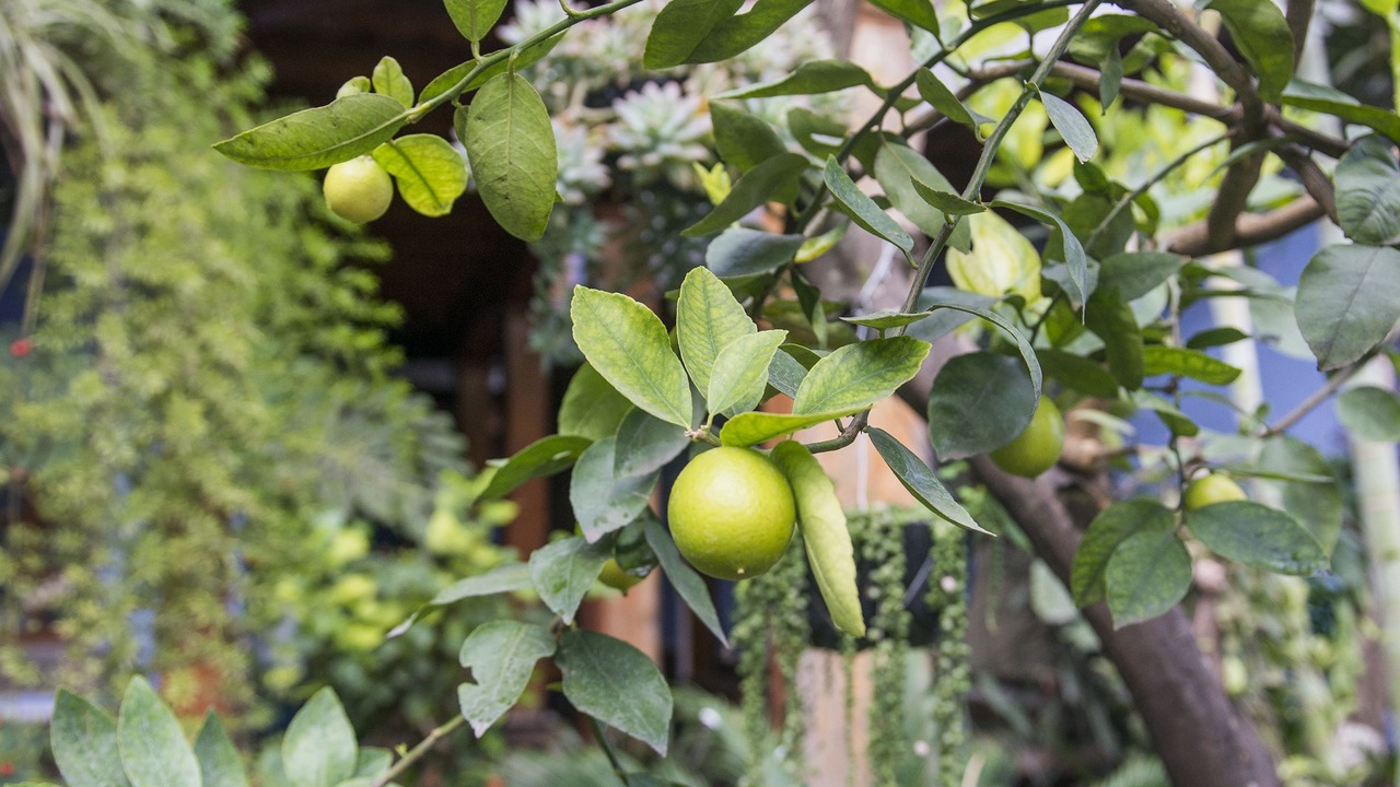 Photo of Outdoor in Antigua Guatemala