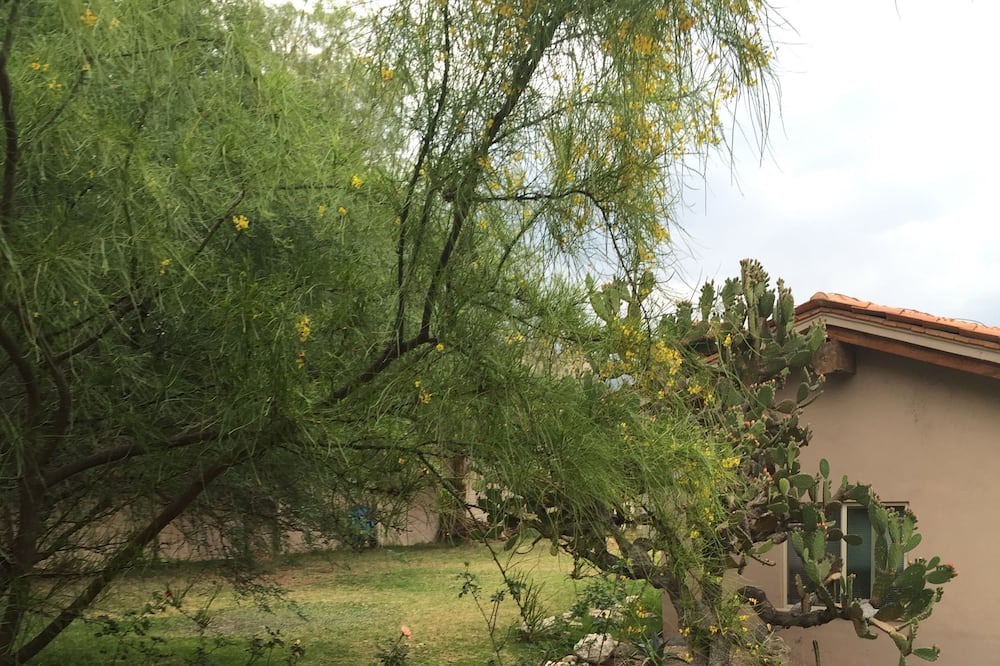 Photo of Outdoor in San Miguel de Allende