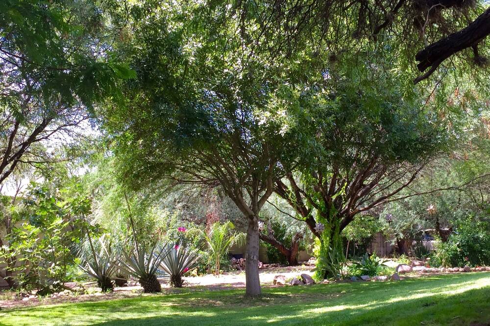 Photo of Outdoor in San Miguel de Allende