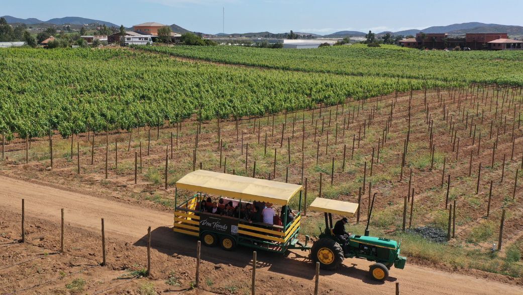 Photo of Others in Valle de Guadalupe