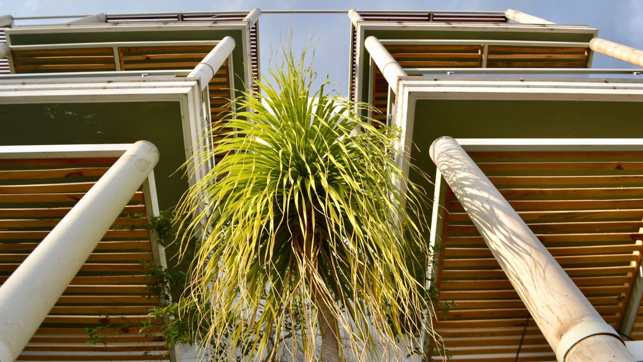 Photo of Outdoor in Ajijic