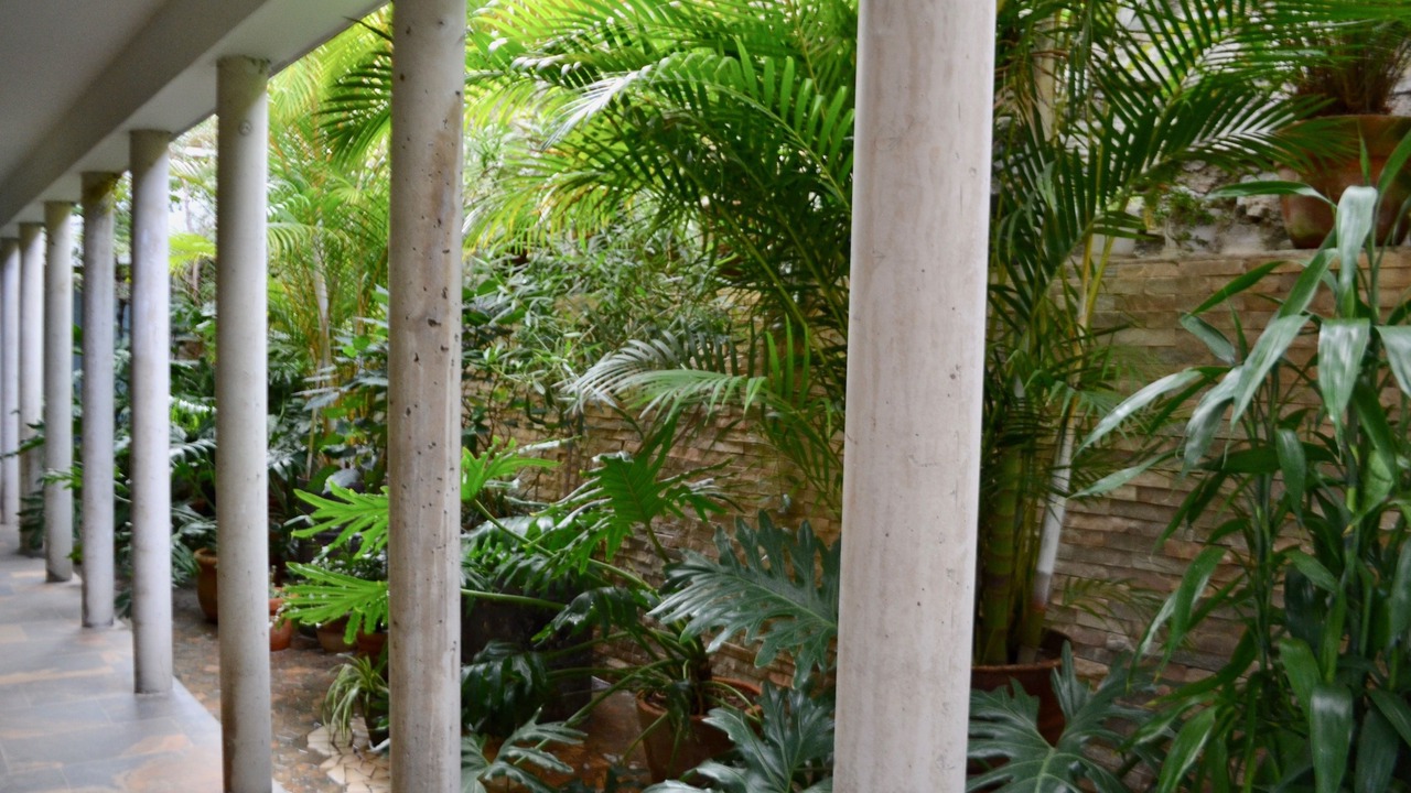 Photo of Others in Ajijic