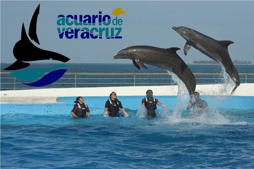 Photo of Others in Boca del Rio