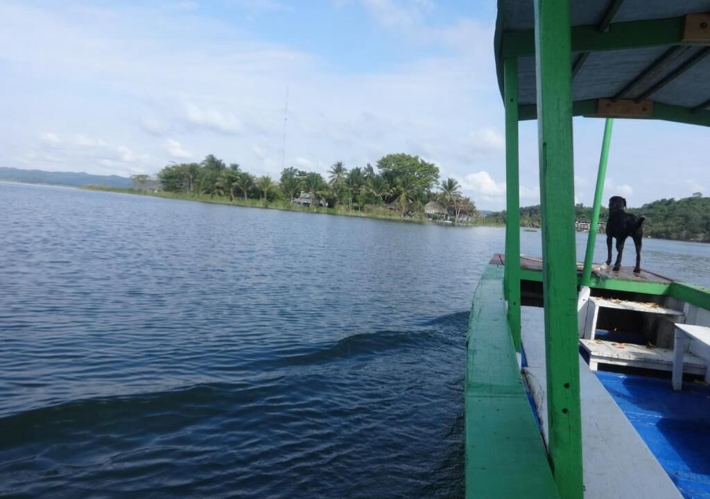 Photo of Outdoor in Flores