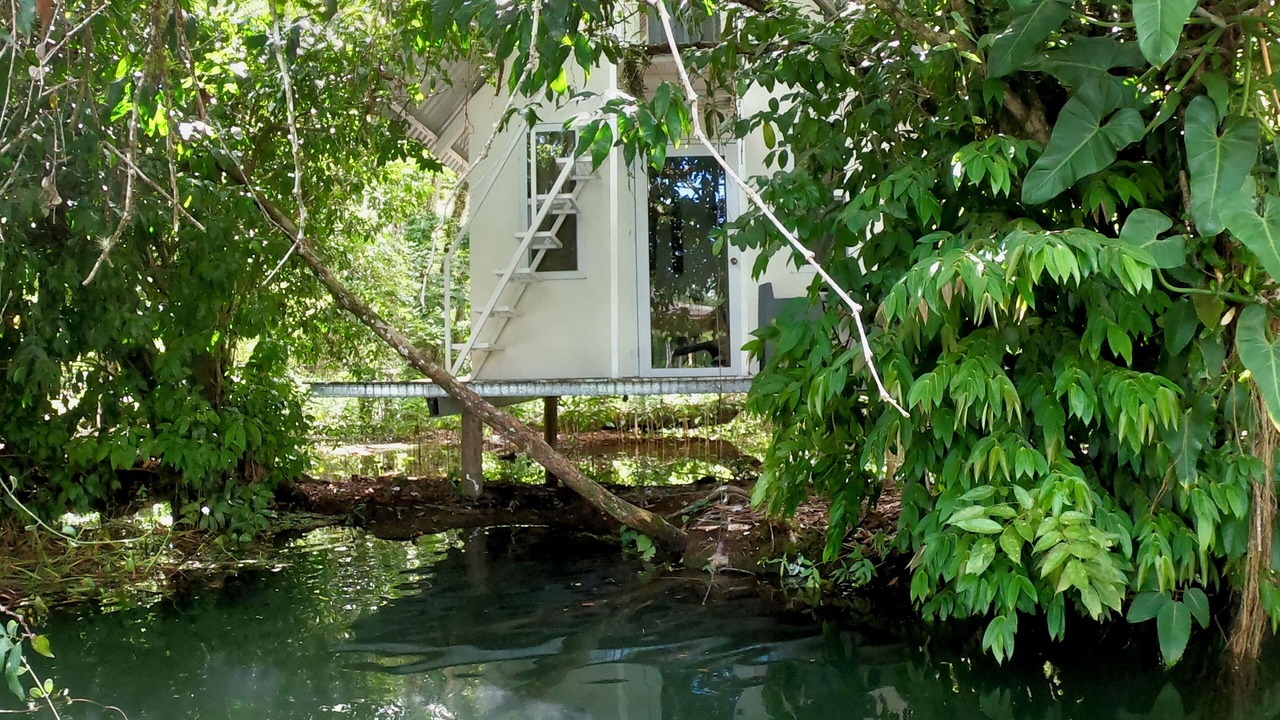 Photo of Bedroom in Rio Dulce