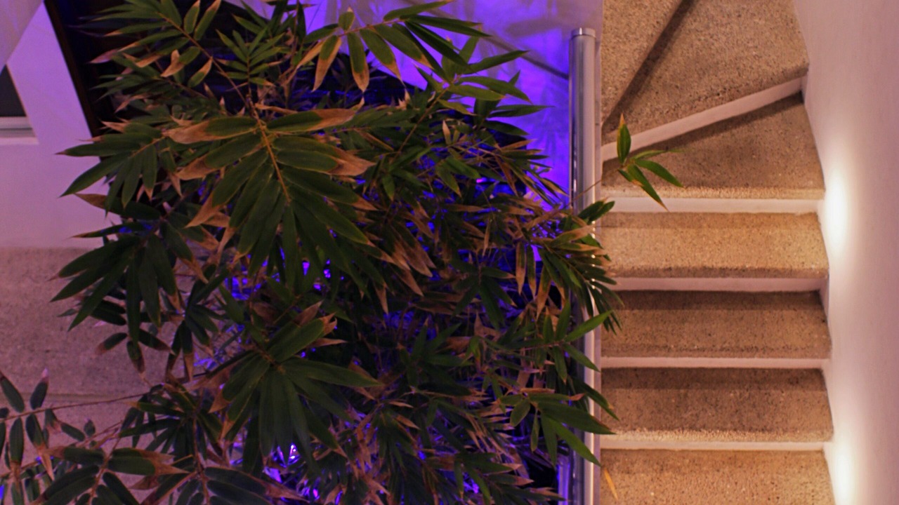 Photo of Patio Balcony in Manzanillo