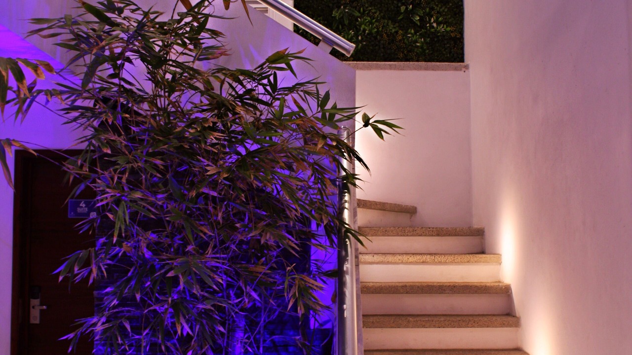 Photo of Outdoor in Manzanillo