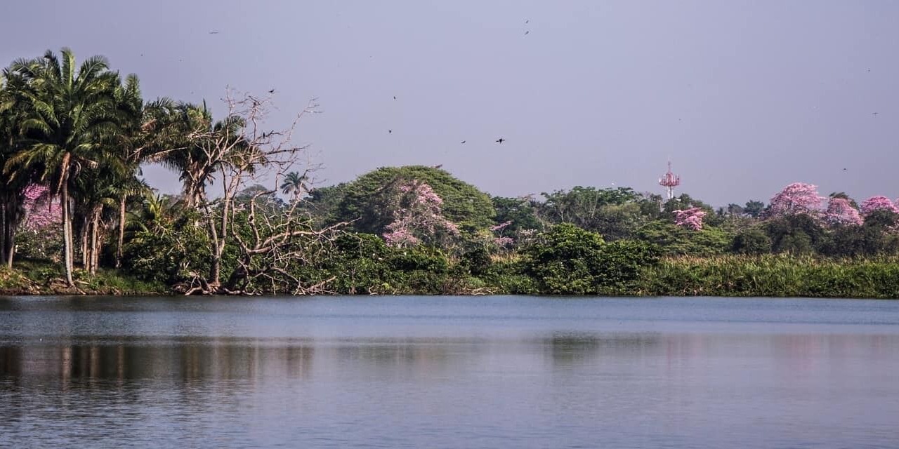 Photo of Others in Villahermosa