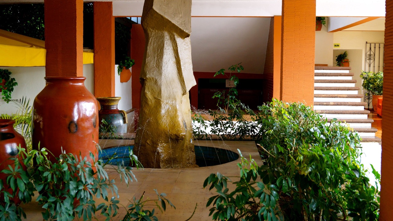 Photo of Others in Morelia