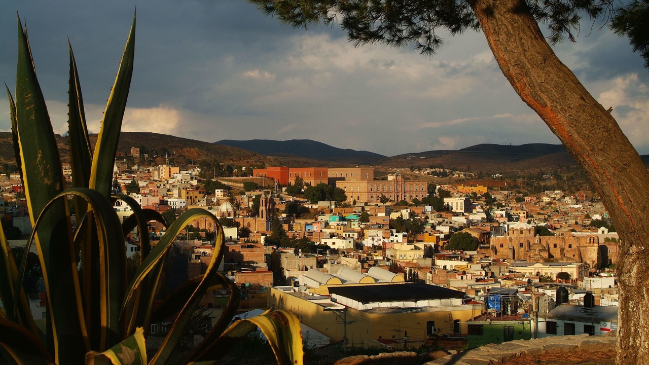 Photo of Others in Zacatecas Centro