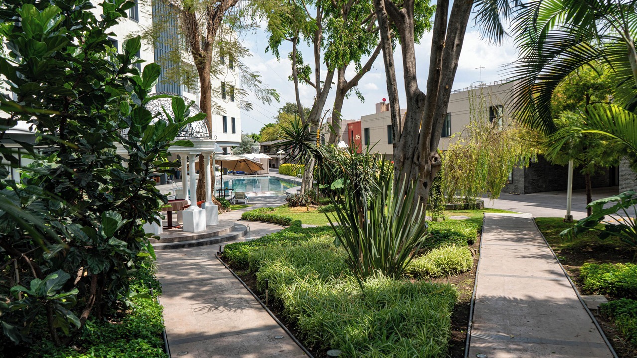 Photo of Outdoor in Zona Minerva