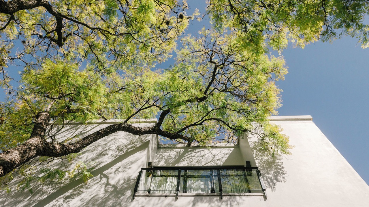 Photo of Outdoor in Zona Centro