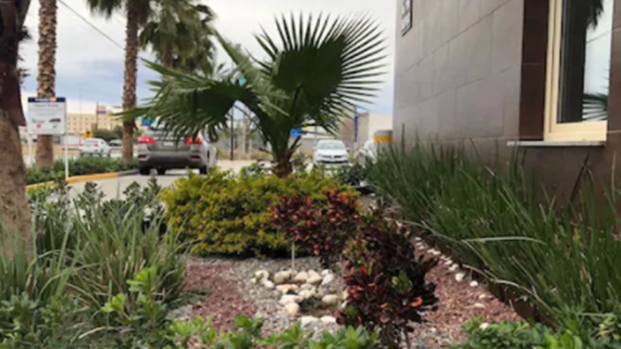 Photo of Outdoor in Torreon