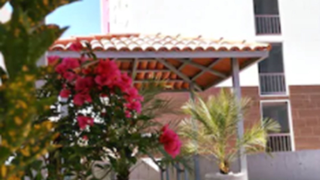 Photo of Outdoor in Torreon
