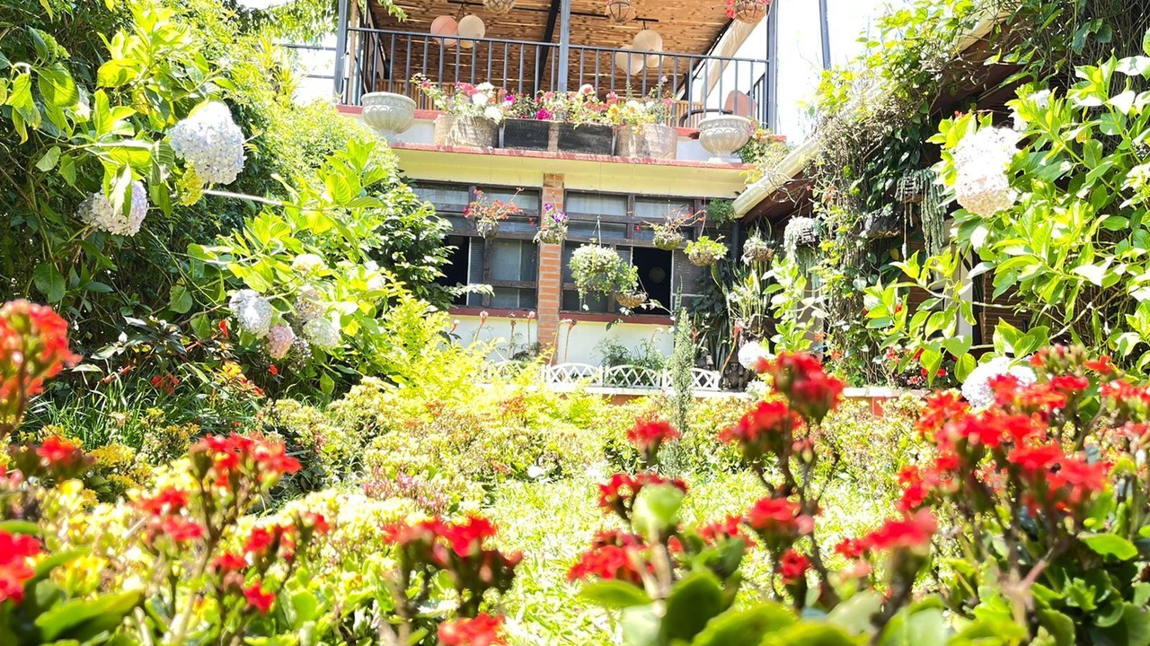 Photo of Patio Balcony in Coban