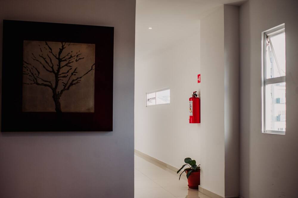 Photo of Others in Veracruz
