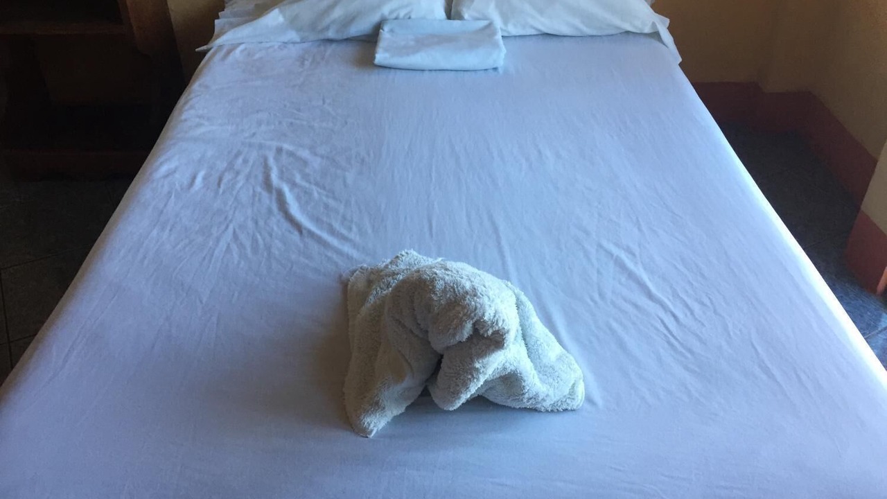 Photo of Bedroom in Flores