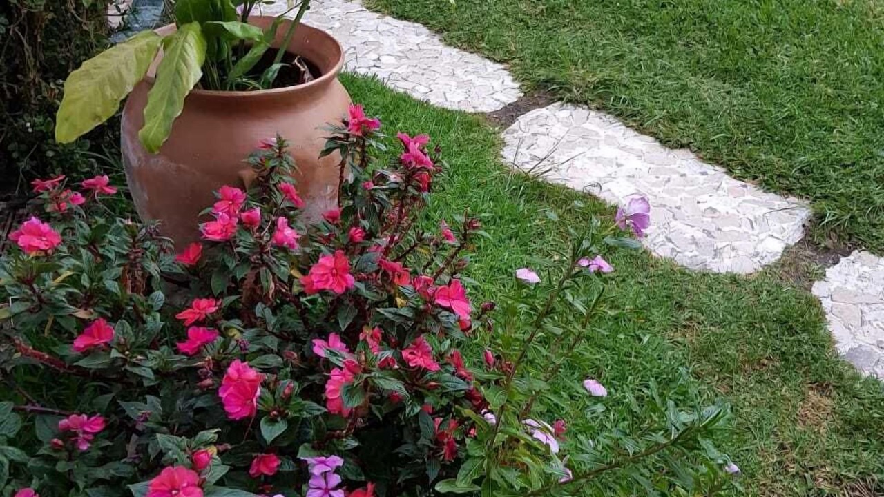 Photo of Outdoor in Panajachel