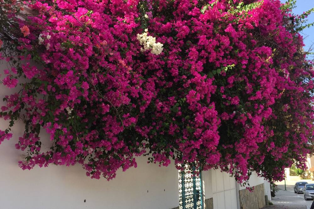 Photo of Outdoor in Crucecita