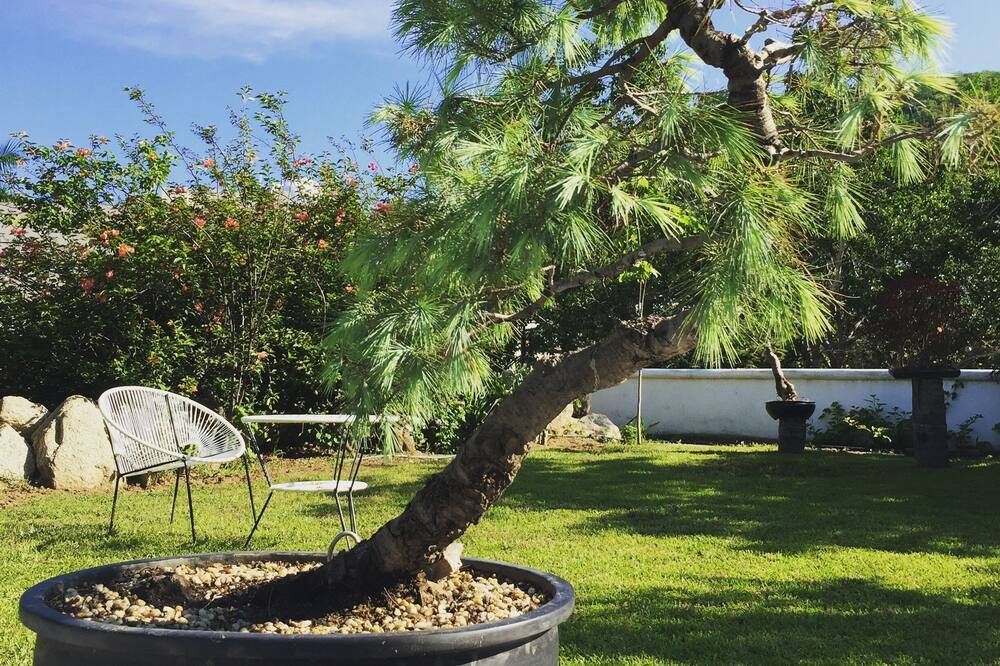 Photo of Outdoor in Crucecita