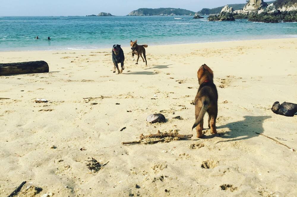 Photo of Others in Crucecita