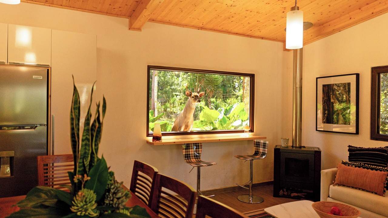 Photo of Bedroom in San Cristobal Verapaz