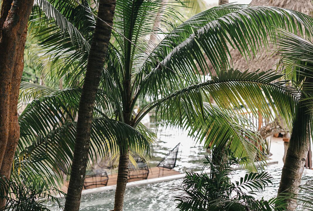 Photo of Outdoor in El Remate