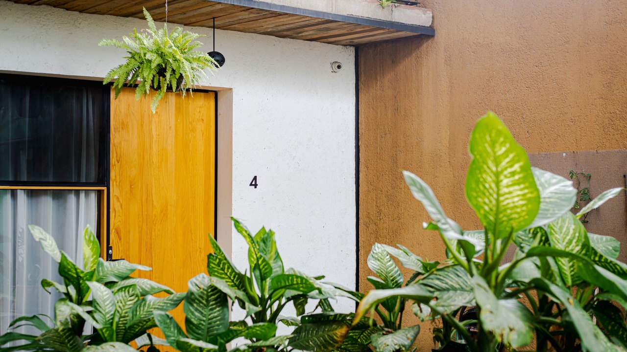Photo of Patio Balcony in Calzada Madero