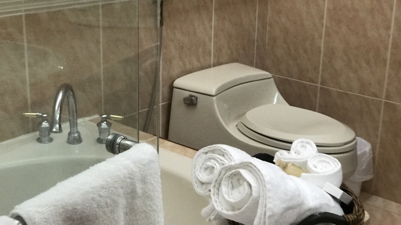 Photo of Bathroom in Zona 15