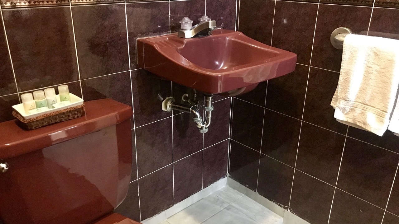 Photo of Bathroom in Zona 15