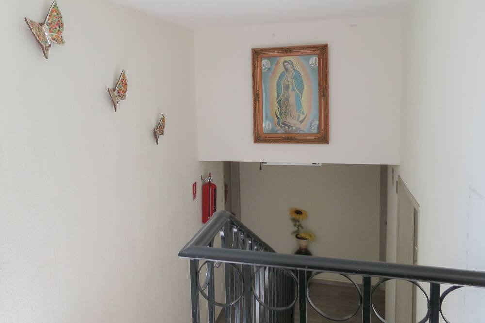 Photo of Others in Guanajuato