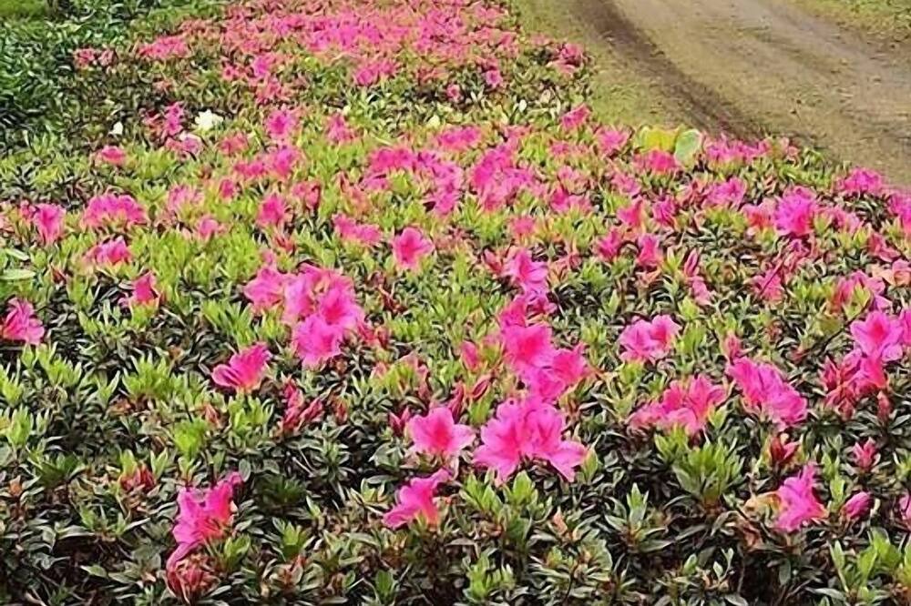 Photo of Outdoor in San Juan Chamelco