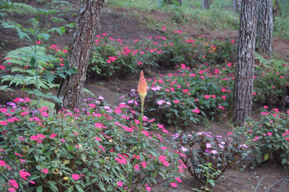 Photo of Outdoor in San Juan Chamelco