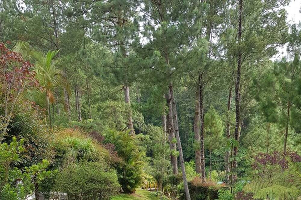 Photo of Outdoor in San Juan Chamelco