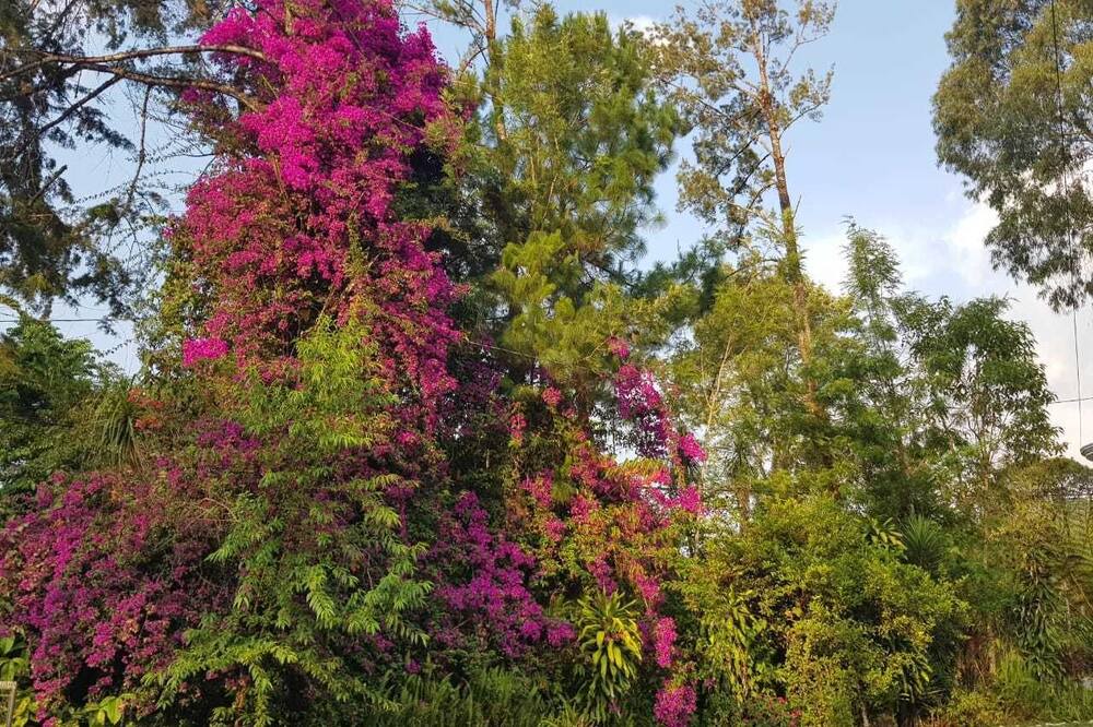 Photo of Outdoor in San Juan Chamelco