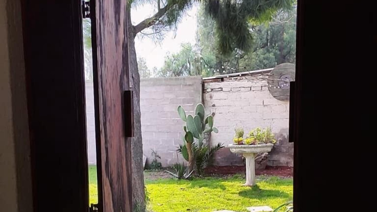 Photo of Others in Teotihuacan