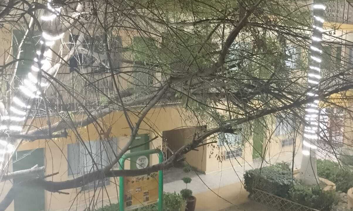 Photo of Patio Balcony in Sabinas