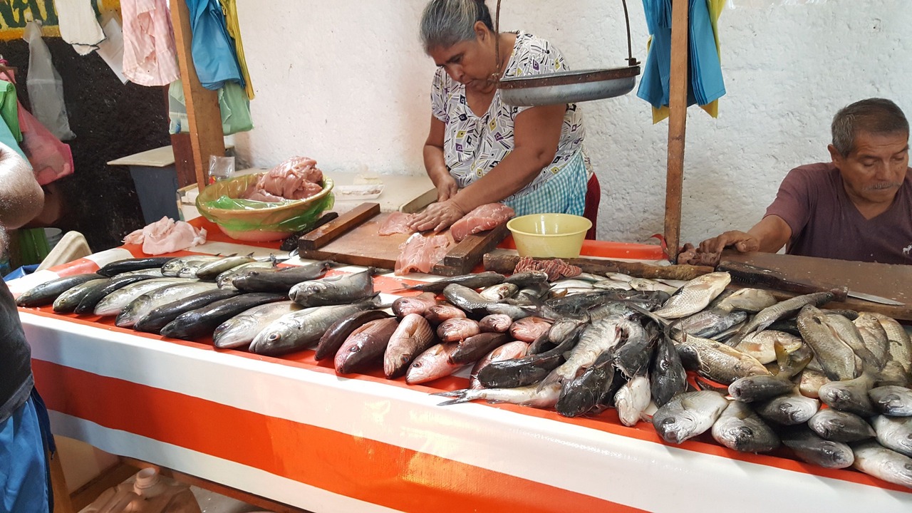 Photo of Others in Zihuatanejo