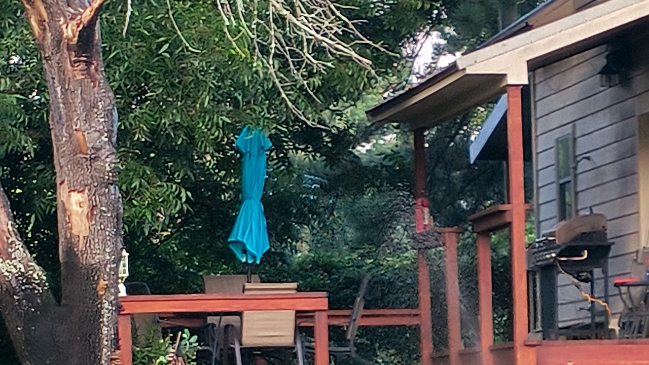 Photo of Outdoor in Berryville