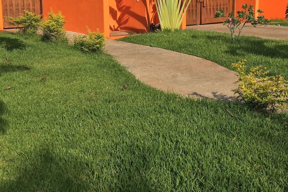 Photo of Outdoor in Saladita