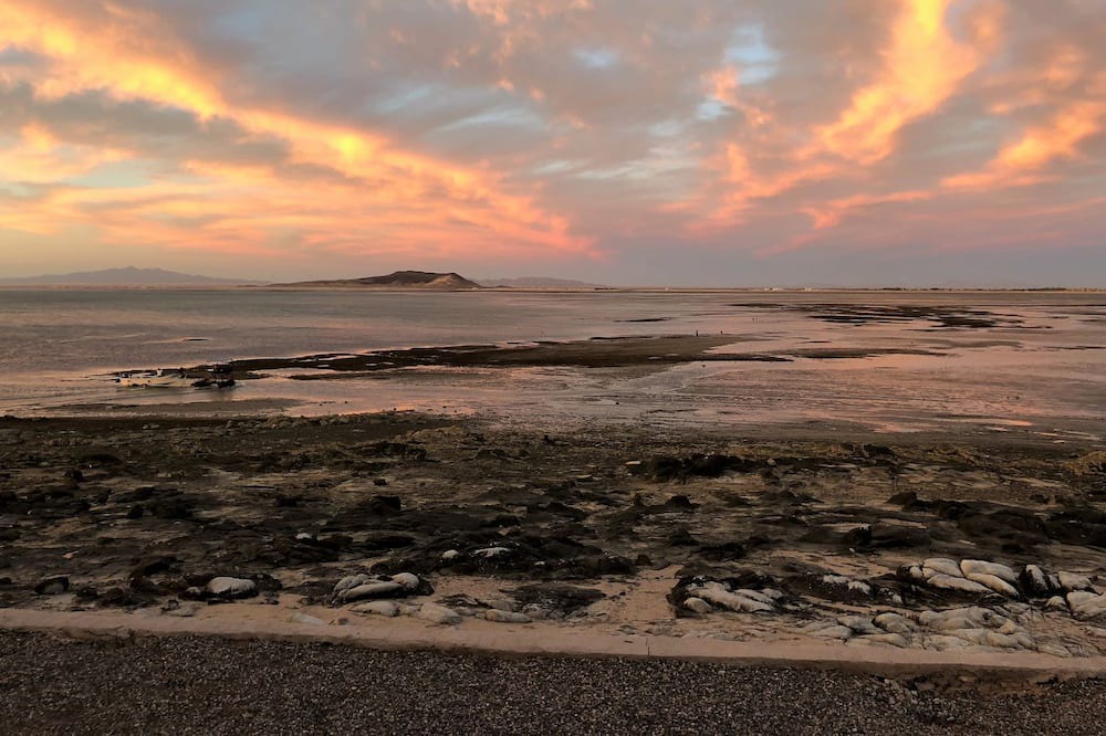 Photo of Outdoor in Cholla Bay
