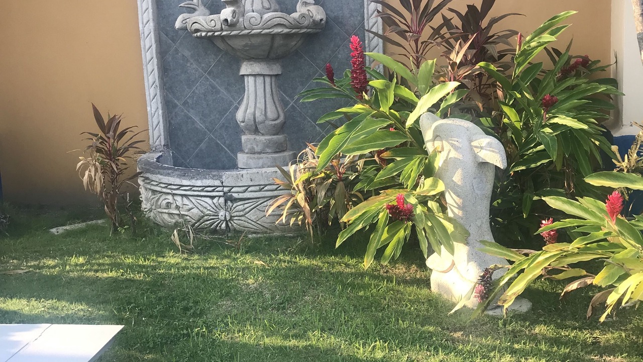 Photo of Outdoor in Puerto San Jose