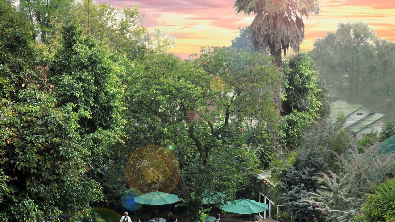 Photo of Outdoor in San Miguel Chapultepec