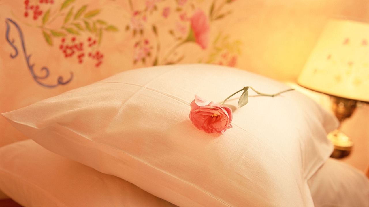Photo of Bedroom in San Miguel Chapultepec