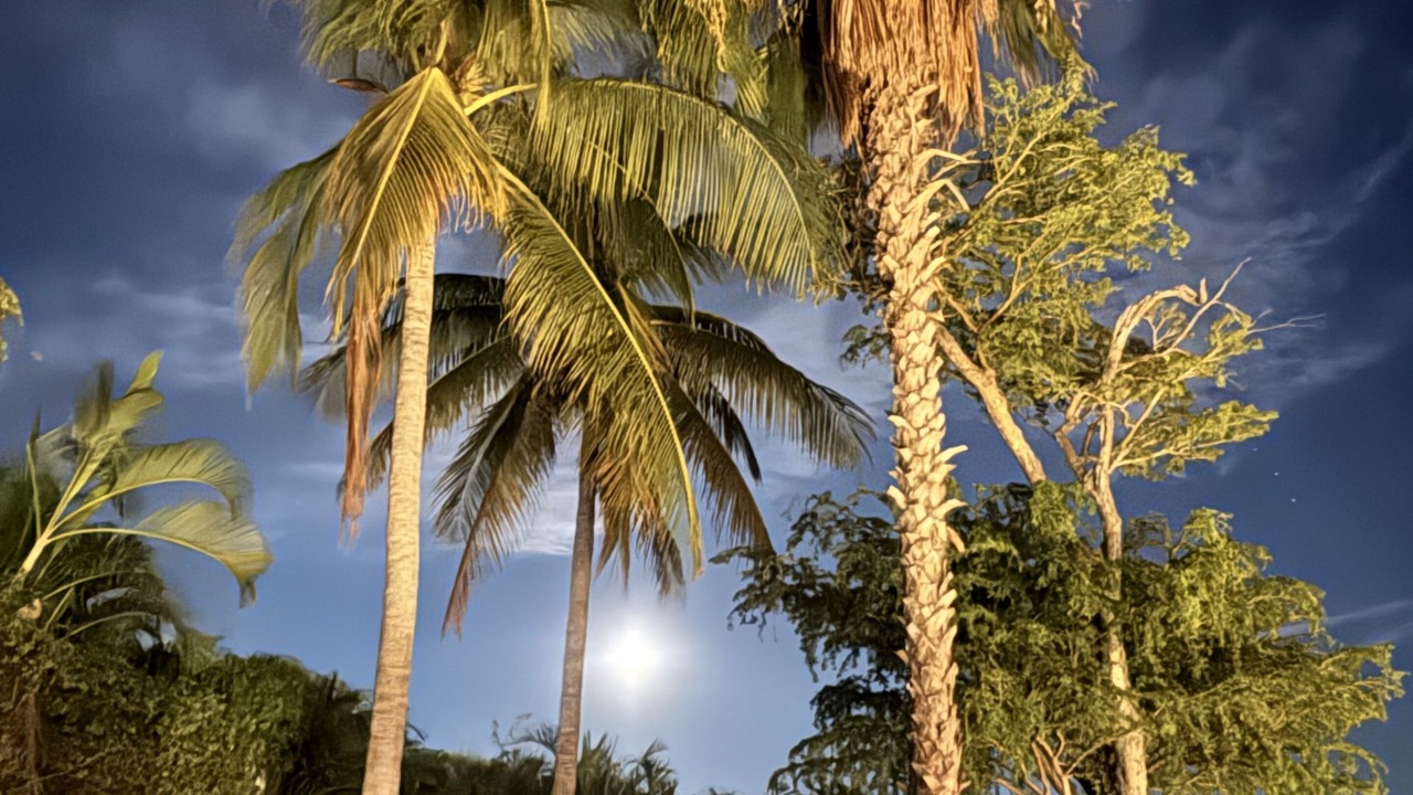 Photo of Outdoor in Santa Maria Huatulco