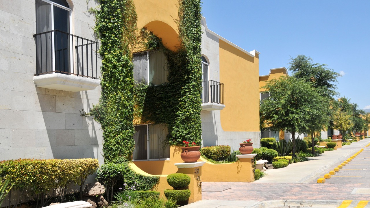 Photo of Outdoor in Saltillo
