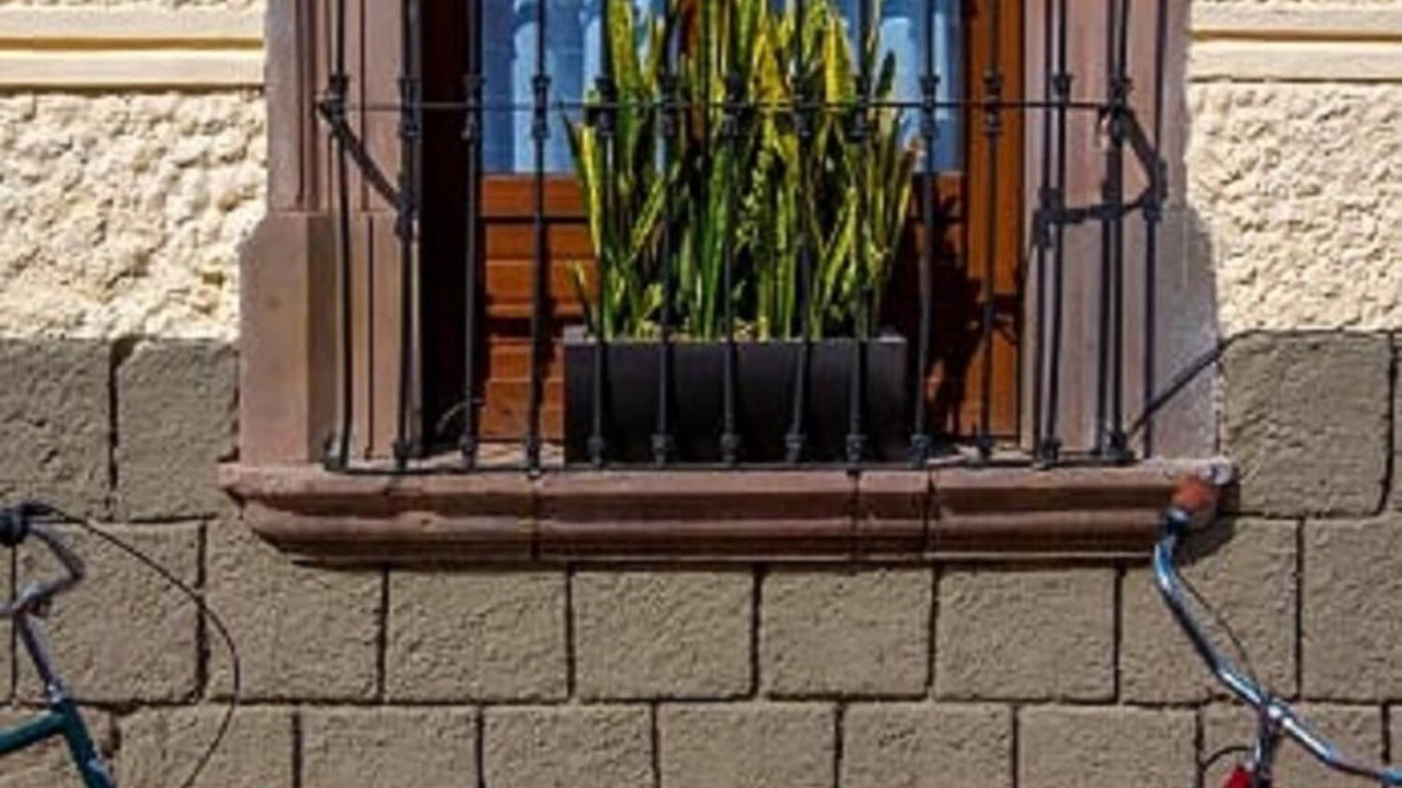 Photo of Outdoor in Downtown Queretaro